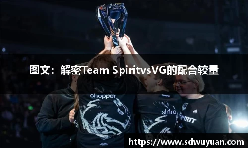 图文：解密Team SpiritvsVG的配合较量